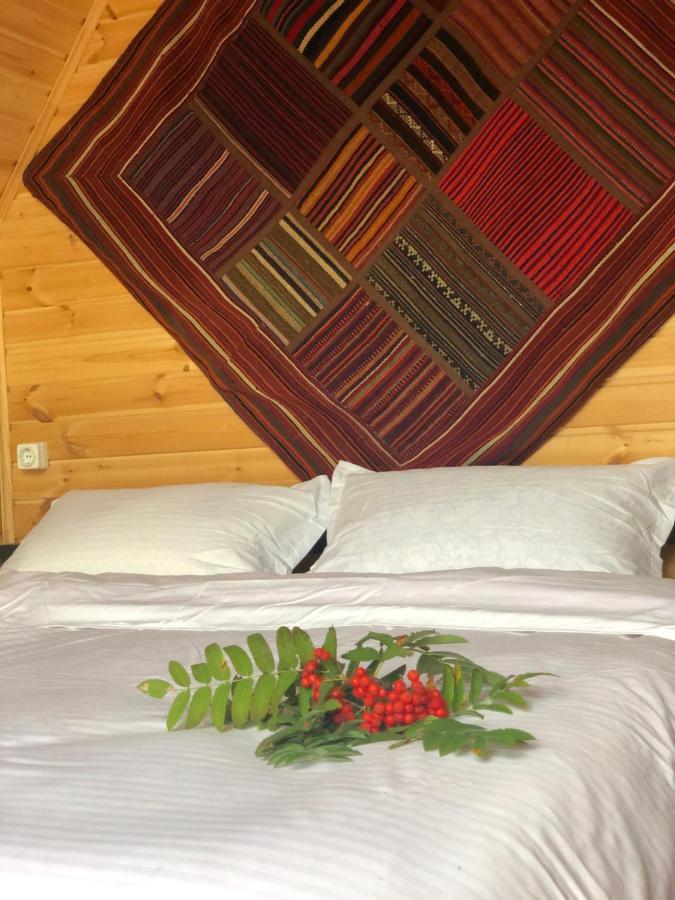 Kazbegi Kuro Cottages Kültér fotó